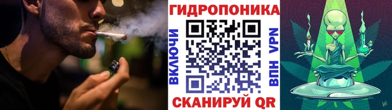 Купить где  Отрадный  Бошки Шишки план 